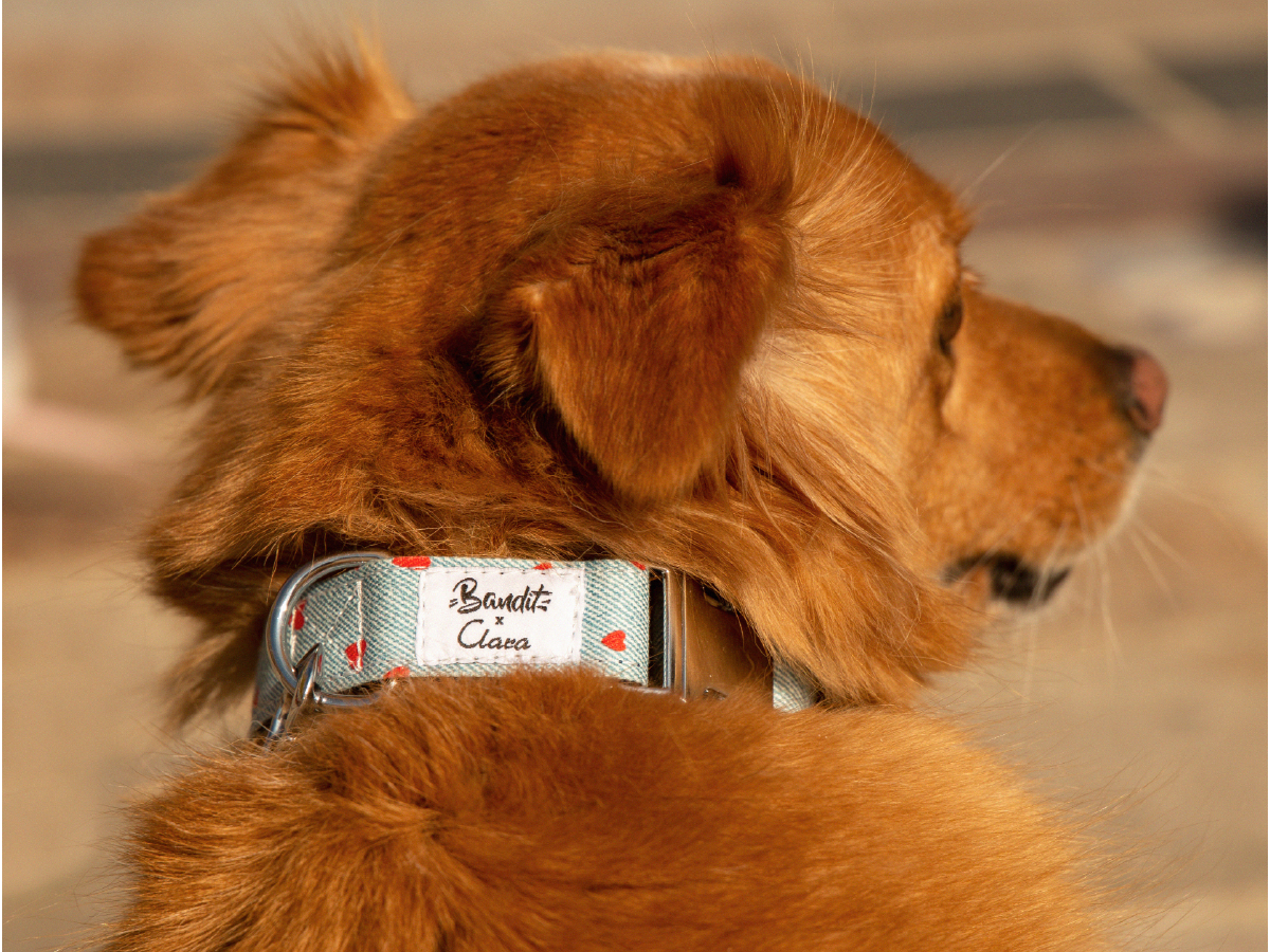 bandit-colliers-denim-collier-chien-c-urs-rouges-clara image 2
