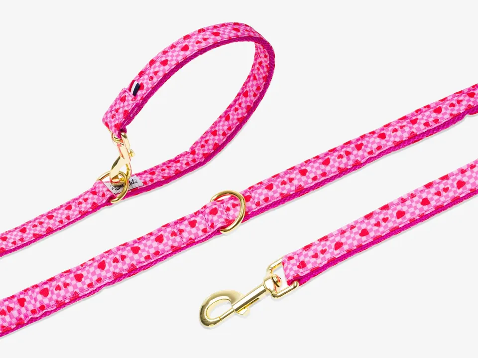 bandit-carreaux-laisse-chien-rose-coeurs-rouges-120-cm image 1