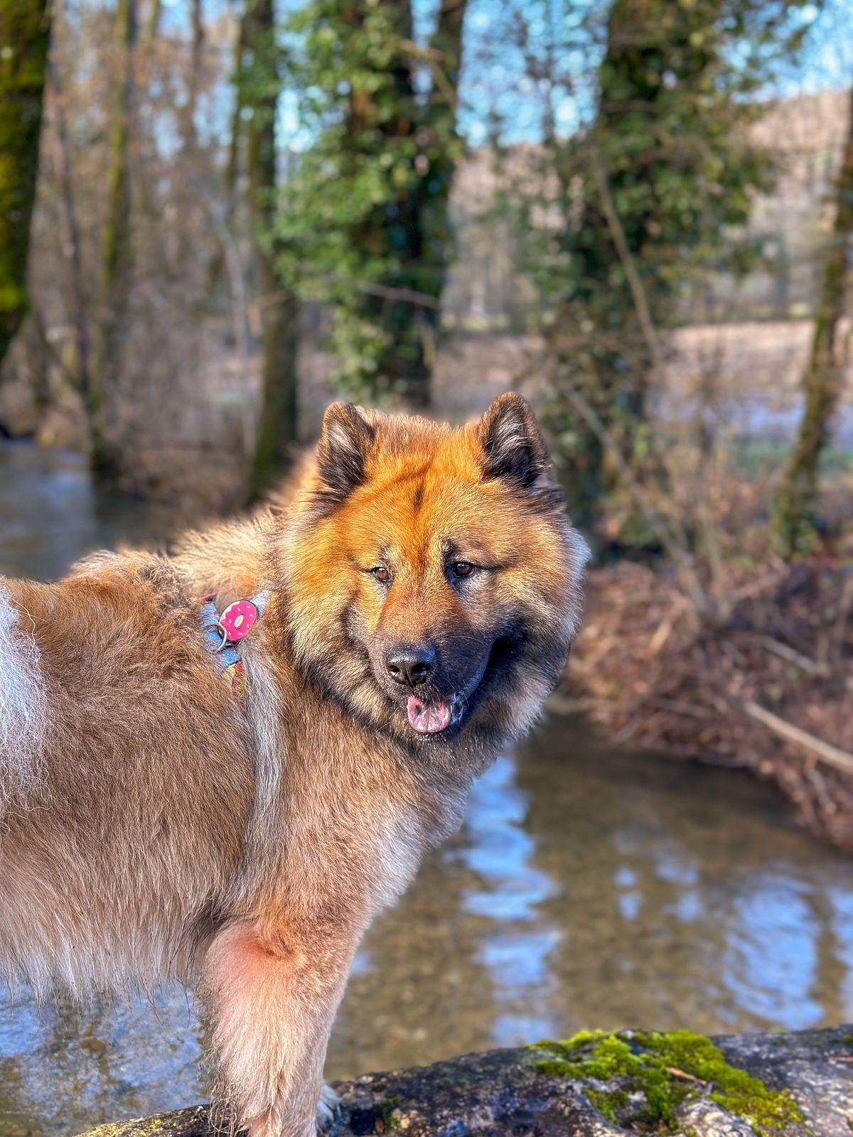 Légers