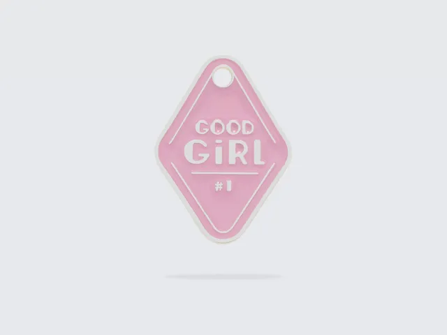 bandit-m-dailles-good-girl-m-daille-chien-rose-argent image 1