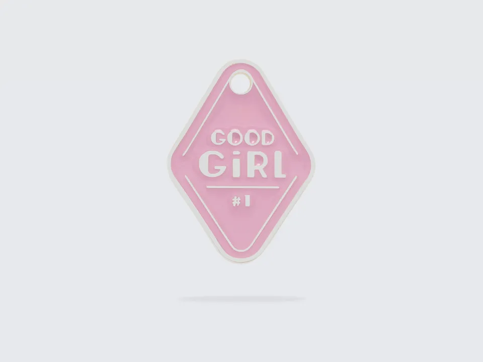 bandit-m-dailles-good-girl-m-daille-chien-rose-argent image 1