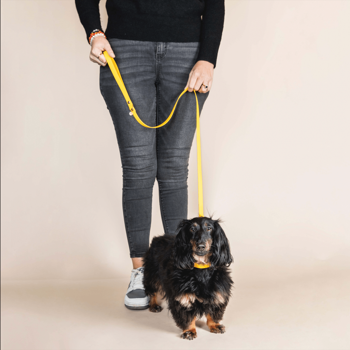 fid-le-l-aventurier-laisse-chien-jaune-20-mm-imperm-able image 2