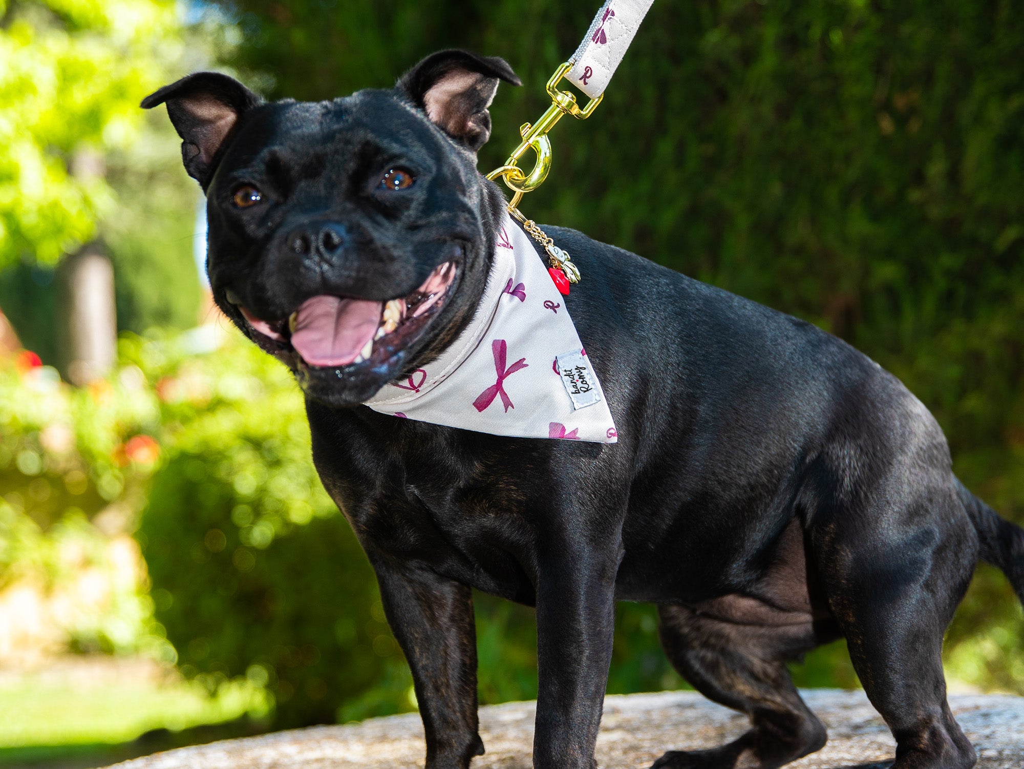 bandit-x-romy-bandana-chien-rubans-roses-chien-moyen image 3