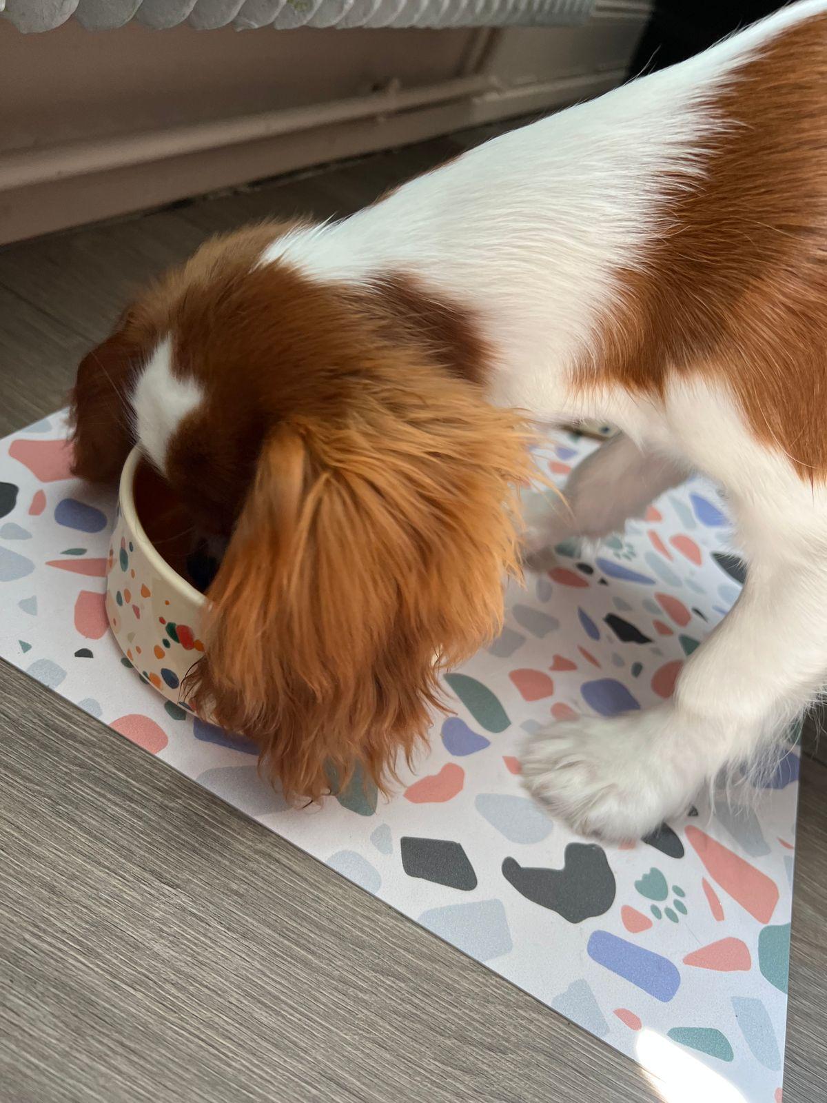 Tapis efficace