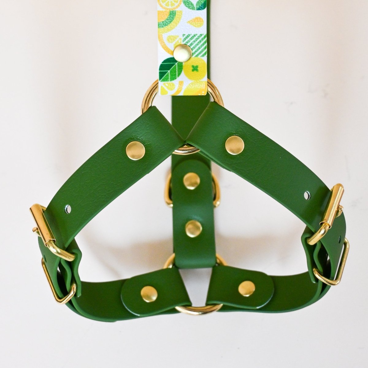 fid-le-paris-harnais-lemon-harnais-jaune-libert-y image 3