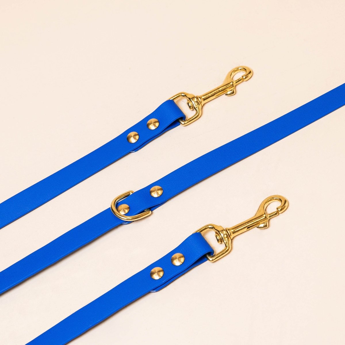 fid-le-paris-laisse-multi-positions-chien-bleu-roi-biothane image 1