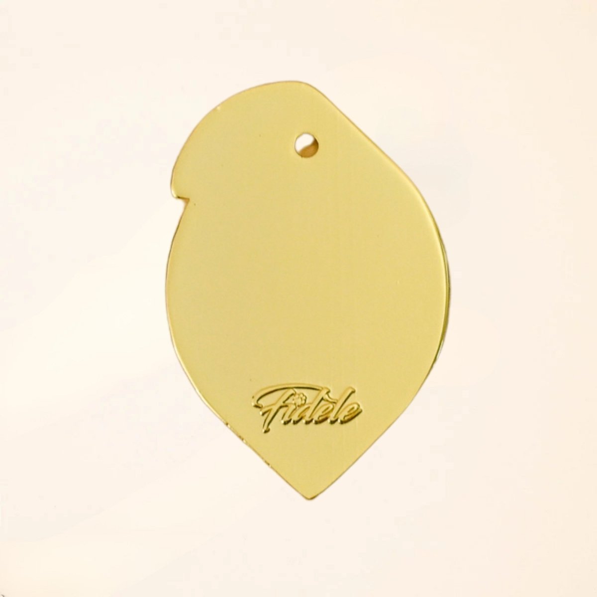 fid-le-paris-m-dailles-lemon-m-daille-chien-citron-gravure-offerte image 2