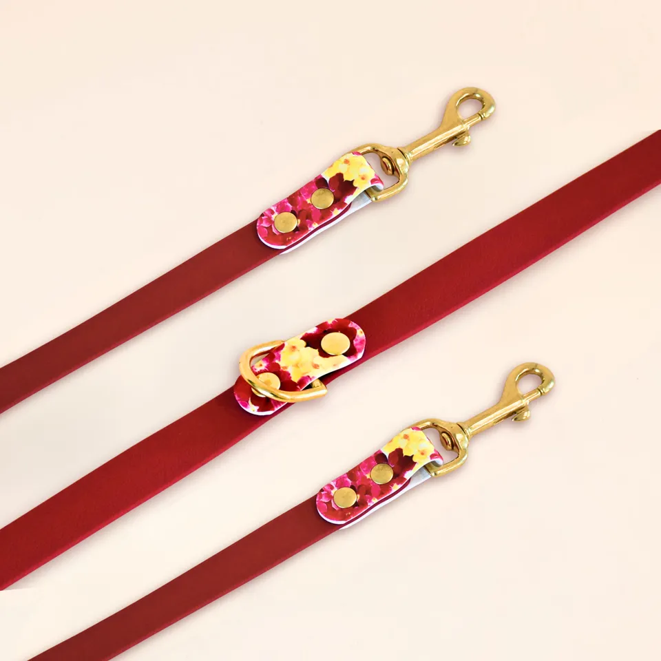 fid-le-paris-bloom-laisse-multi-positions-chien-bordeaux-floral image 1