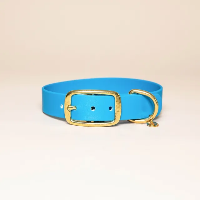 fid-le-paris-l-aventurier-collier-chien-bleu-lectrique image 1