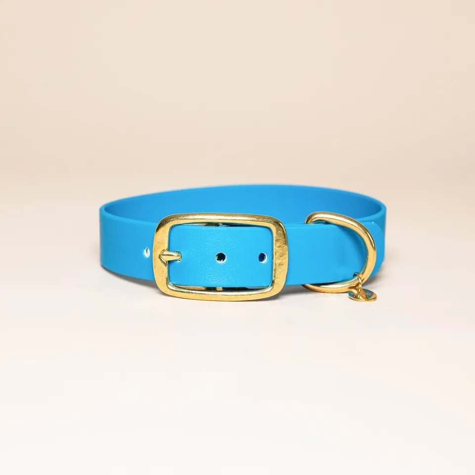fid-le-paris-l-aventurier-collier-chien-bleu-lectrique image 1