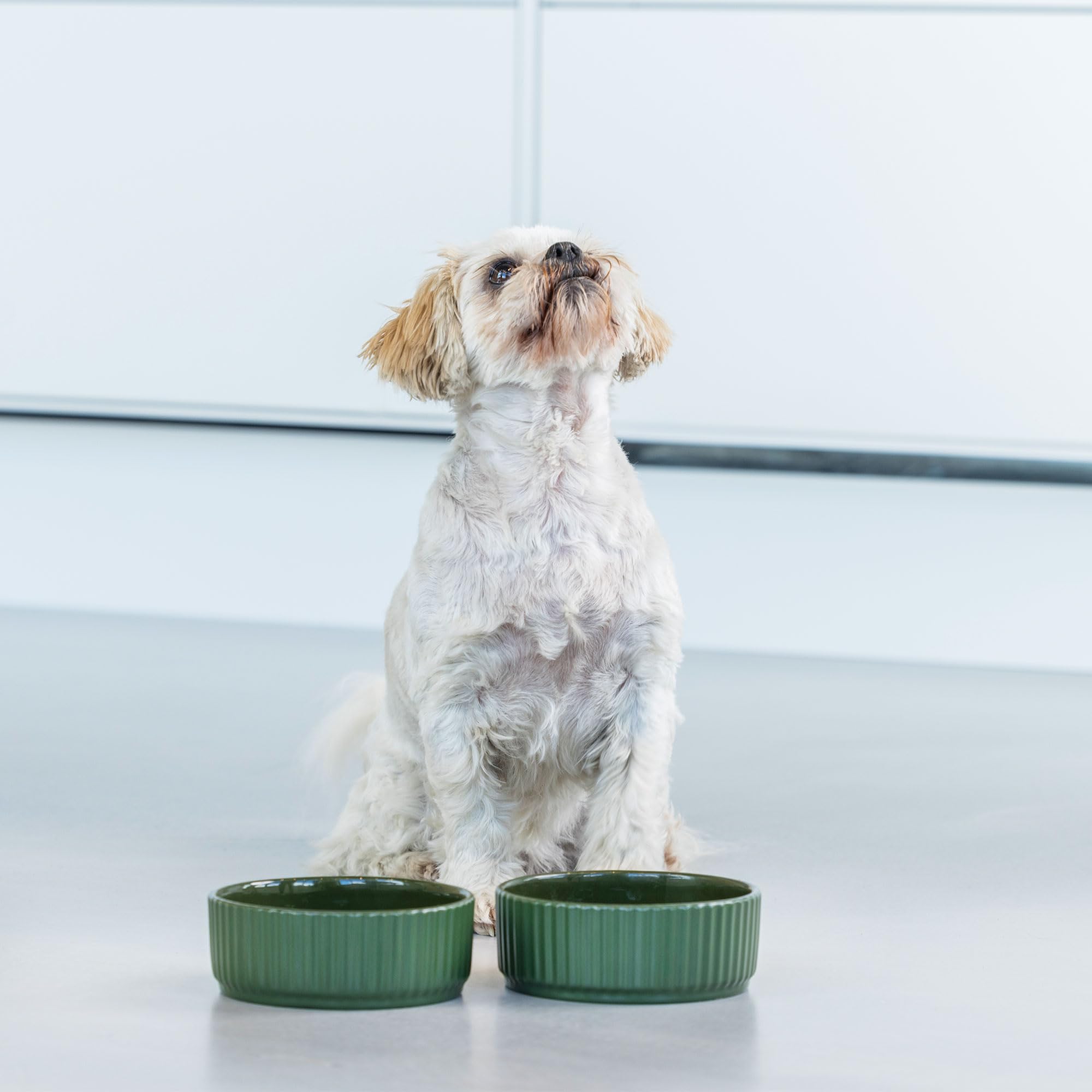 dog-copenhagen-kronborg-bowl-gamelle-l-blanche-off-white image 7