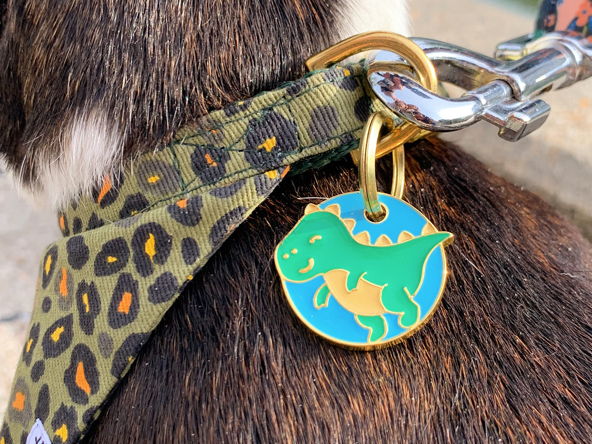 bandit-m-dailles-dinosaure-m-daille-chien-fantaisie image 2
