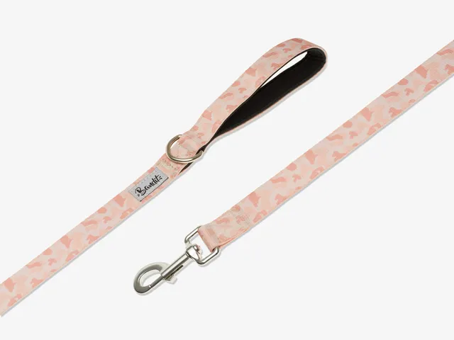 bandit-camolosse-laisse-chien-120-cm-sable image 1