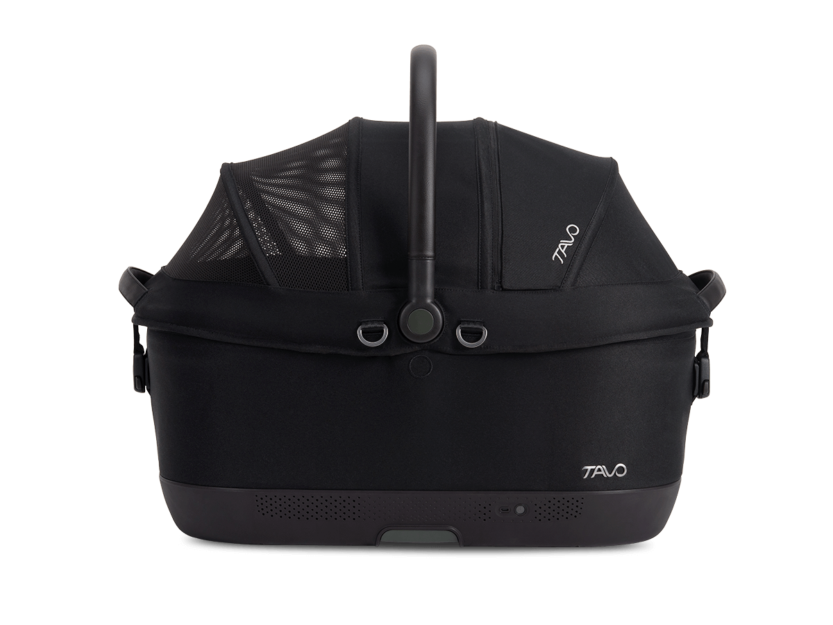 bandit-tavo-maeve-iso-wind-si-ge-auto-chien-onyx-iso6x-ventil image 7