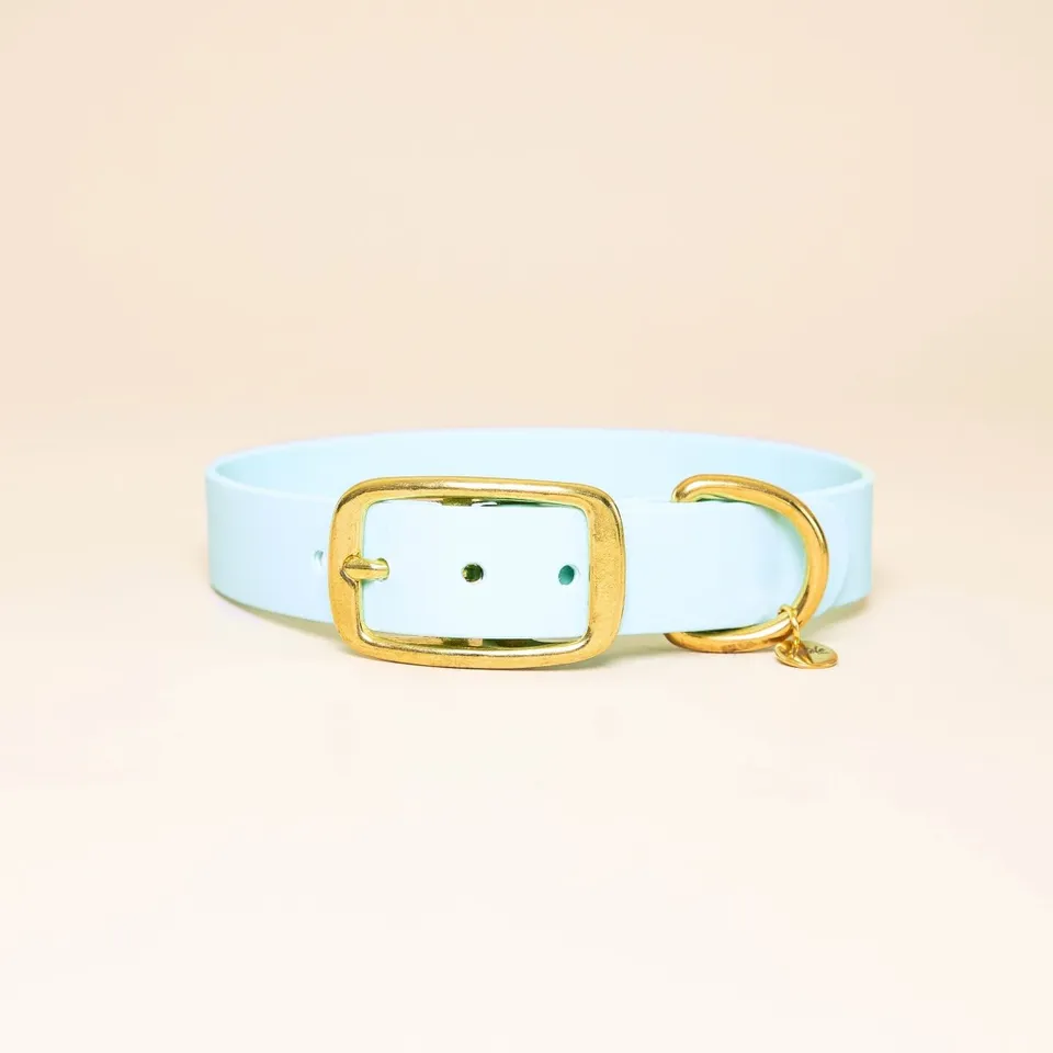 fid-le-paris-l-aventurier-collier-chien-bleu-ciel-imperm-able image 1
