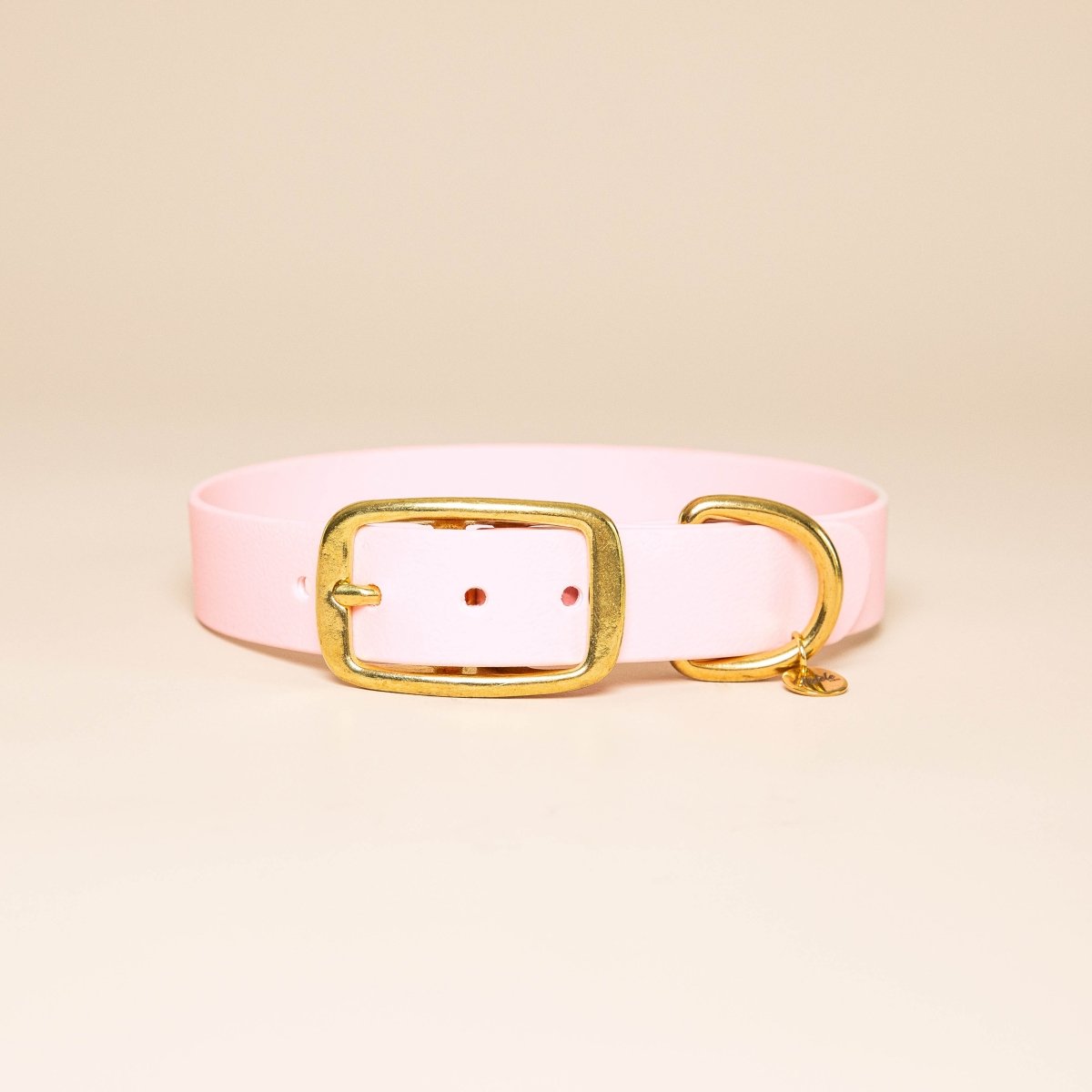 fid-le-paris-l-aventurier-collier-chien-baby-rose image 1