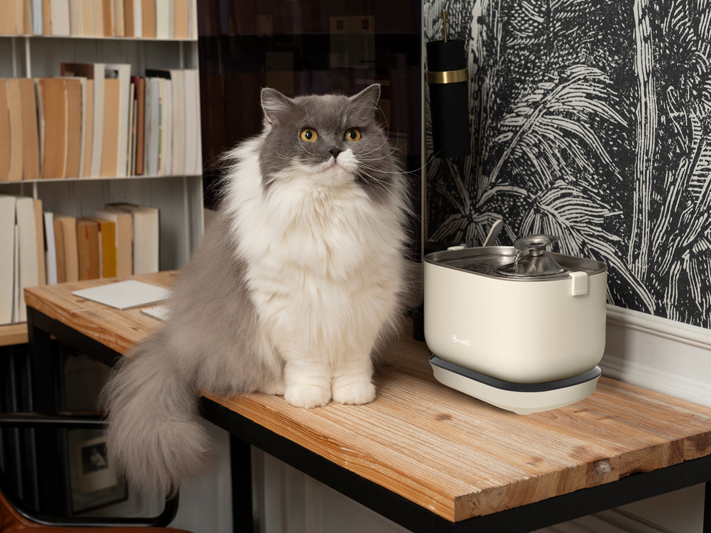 bandit-fontaine-sans-fil-fontaine-eau-chat-verte-2-5l-inox image 6