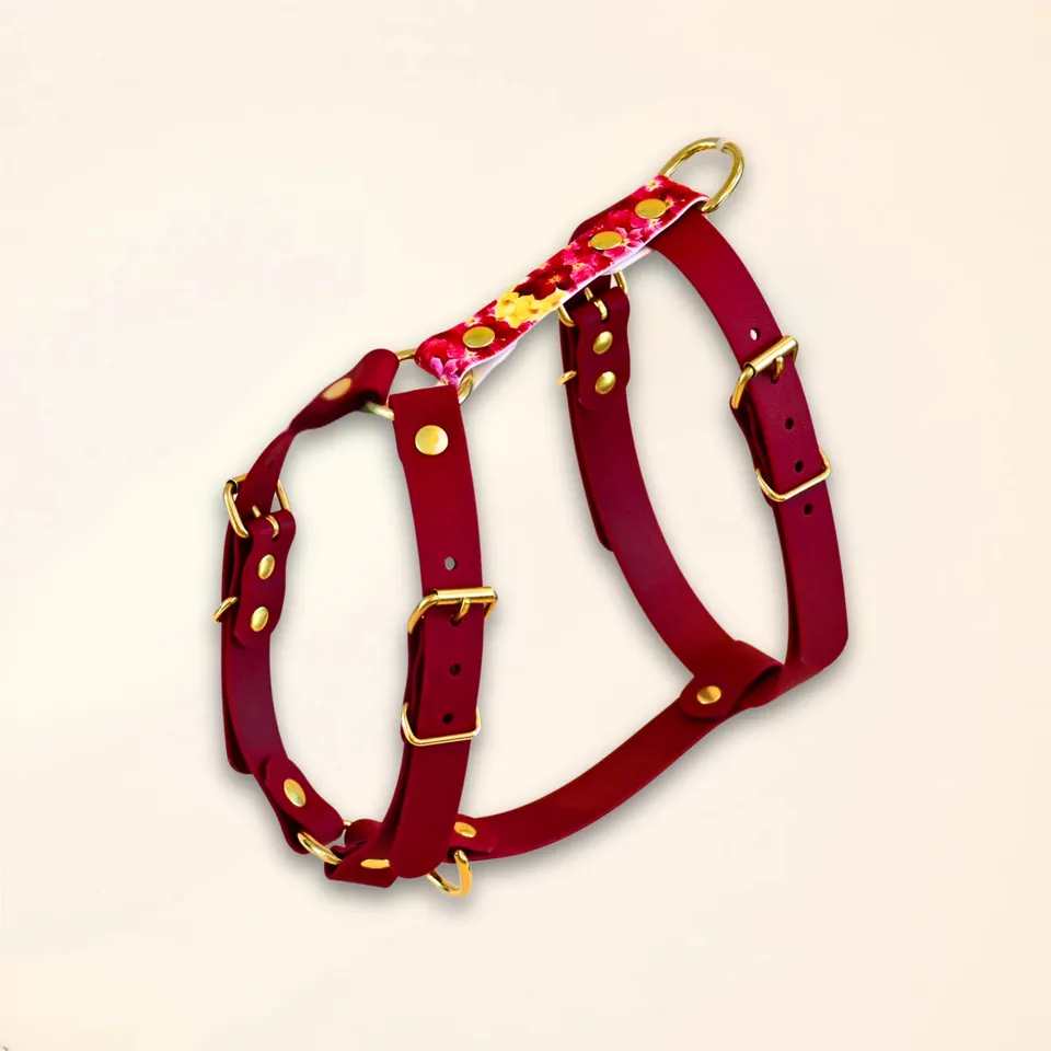 fid-le-paris-the-bloom-harnais-chien-bordeaux-m-confort image 1