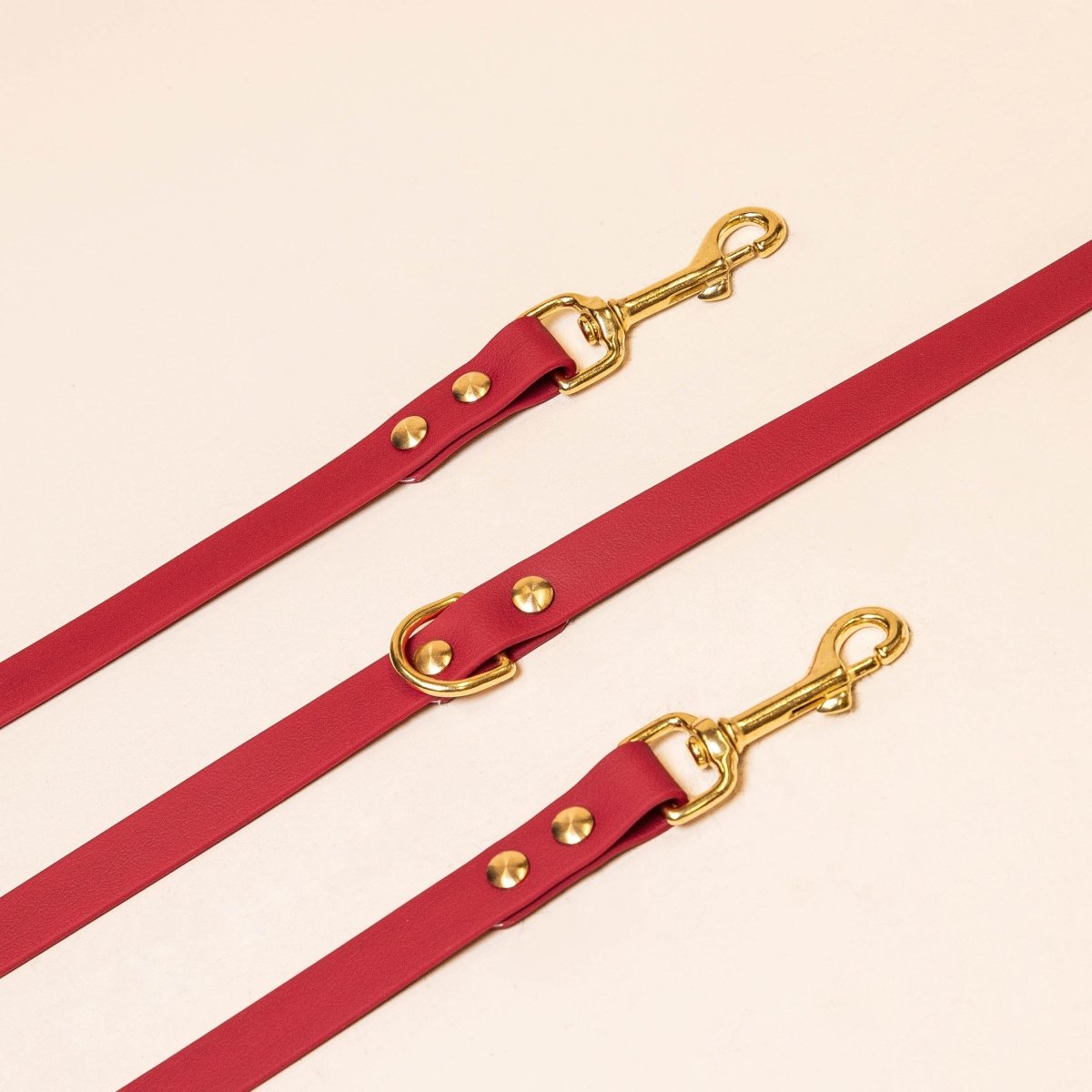 fid-le-laisse-multi-positions-chien-bordeaux-20-mm image 1