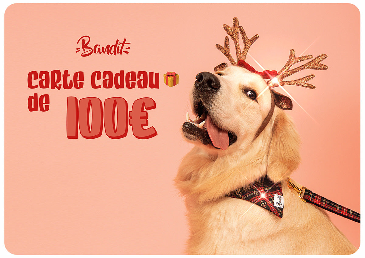 bandit-carte-cadeau-e-mail-50-chien-chat image 2