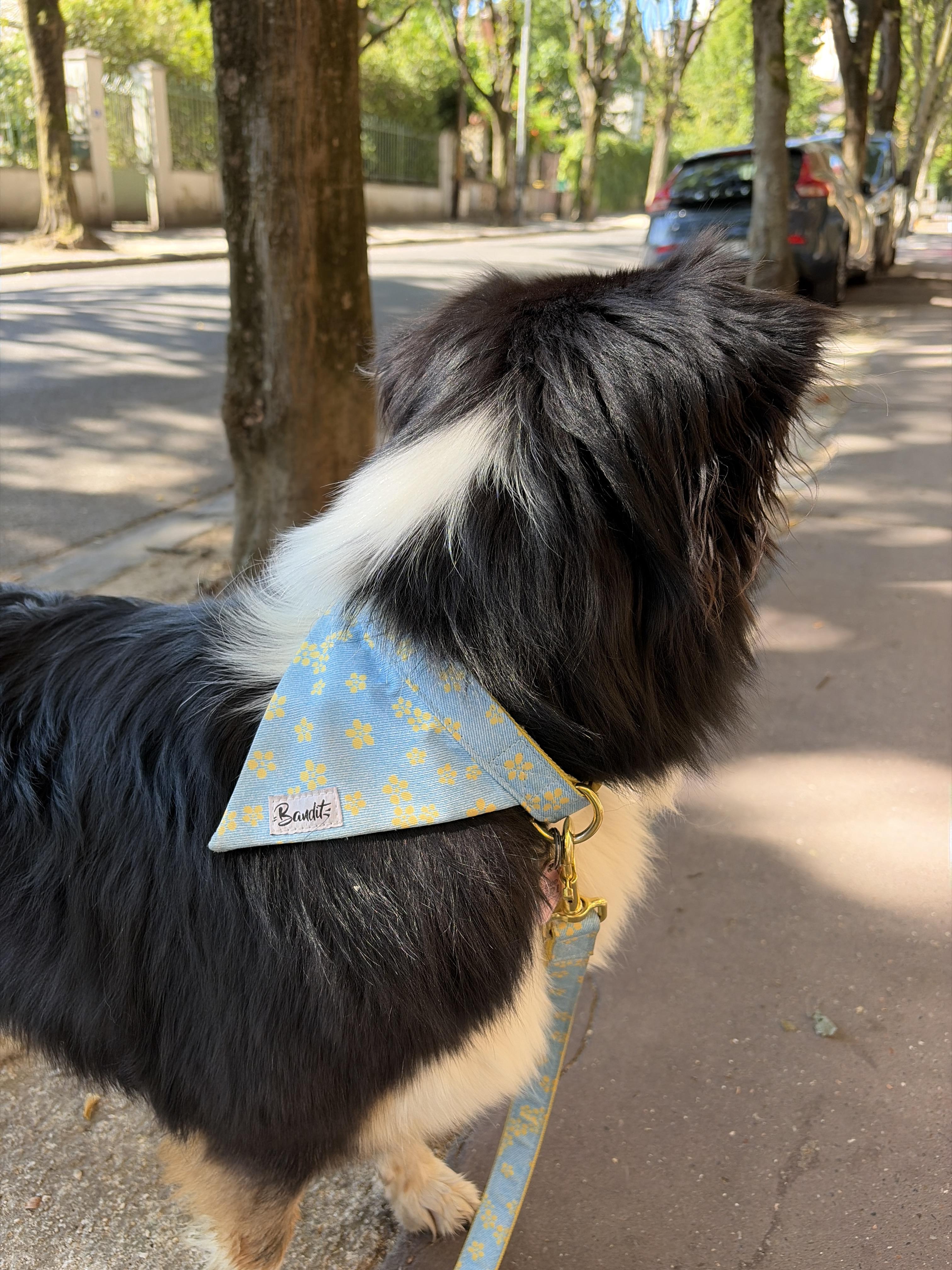 Joli tissu