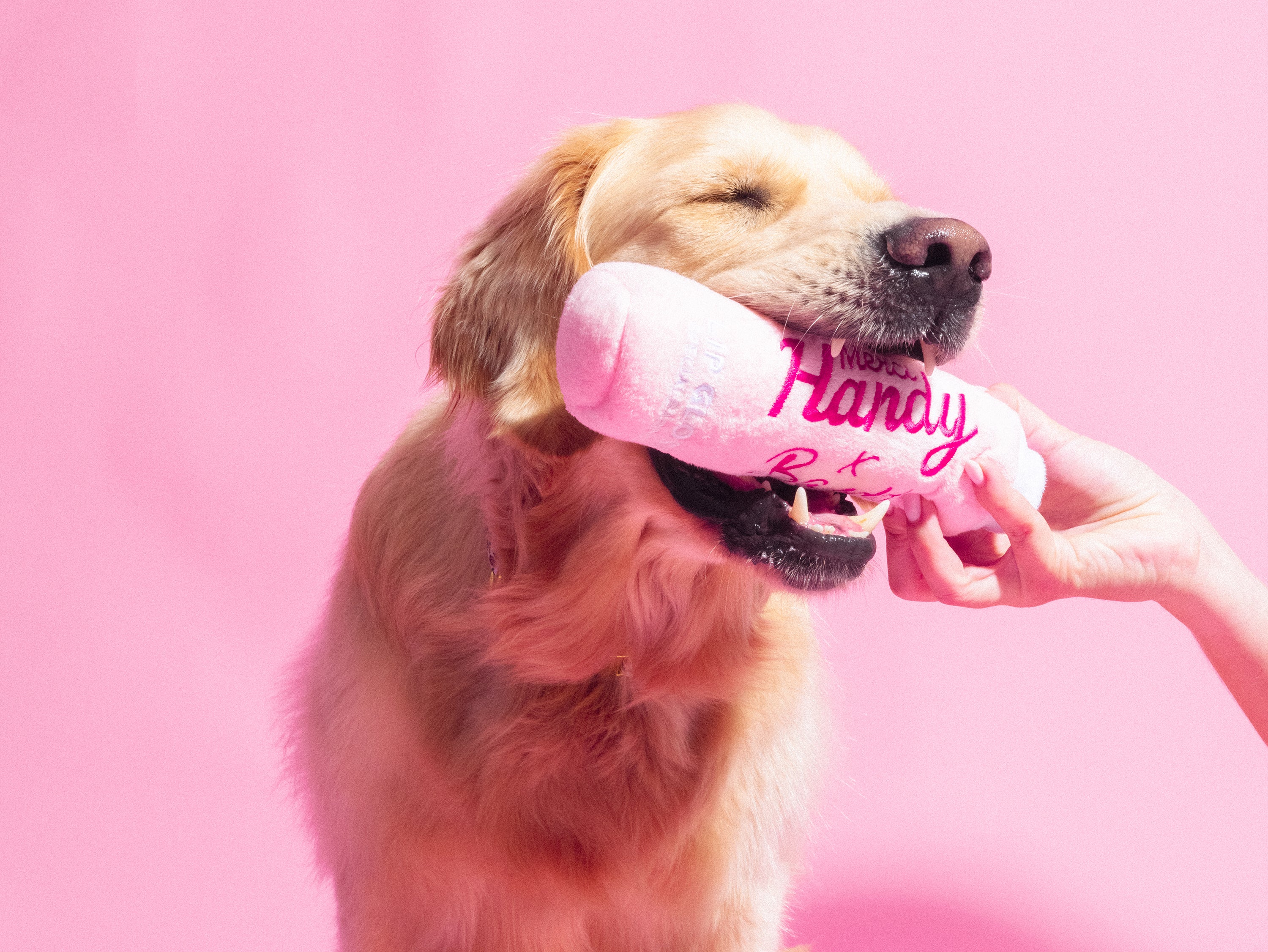 bandit-lip-gloss-merci-handy-jouet-chien-pouic image 2