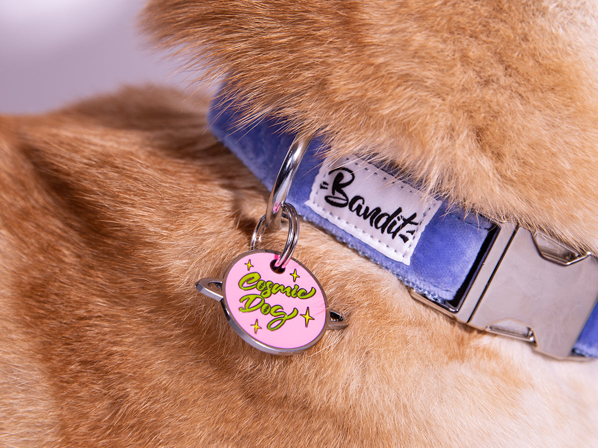 bandit-m-daille-pour-chien-phosphorescente-personnalisable-zinc image 4