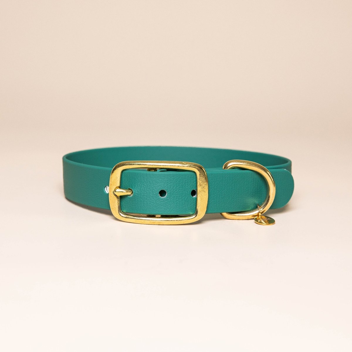 fid-le-paris-l-aventurier-collier-chien-vert-parisien-tpu image 1