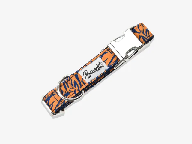 bandit-colliers-collier-chien-tigr-orange-bleu-moyen image 1