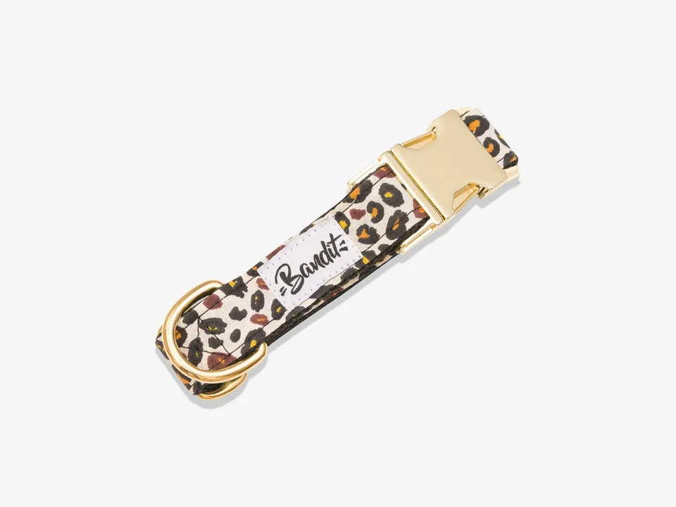 bandit-wild-wild-wouf-collier-chien-l-opard-petit-chien image 1