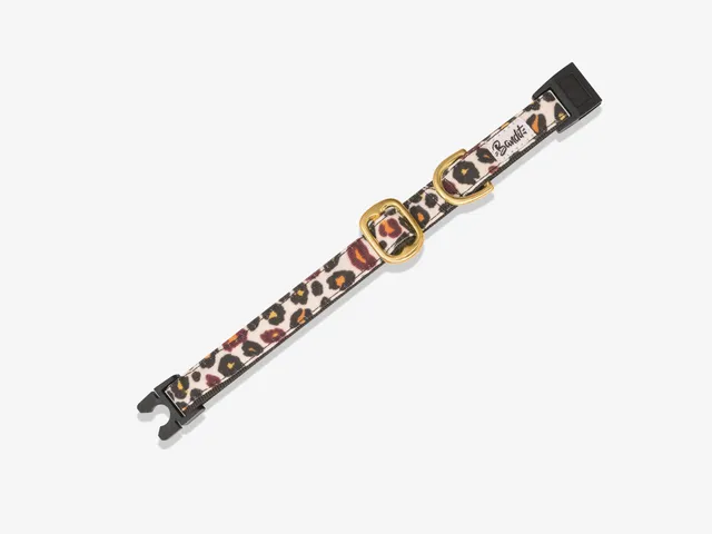 bandit-wild-wild-wouf-collier-chat-l-opard-anti-tranglement image 1