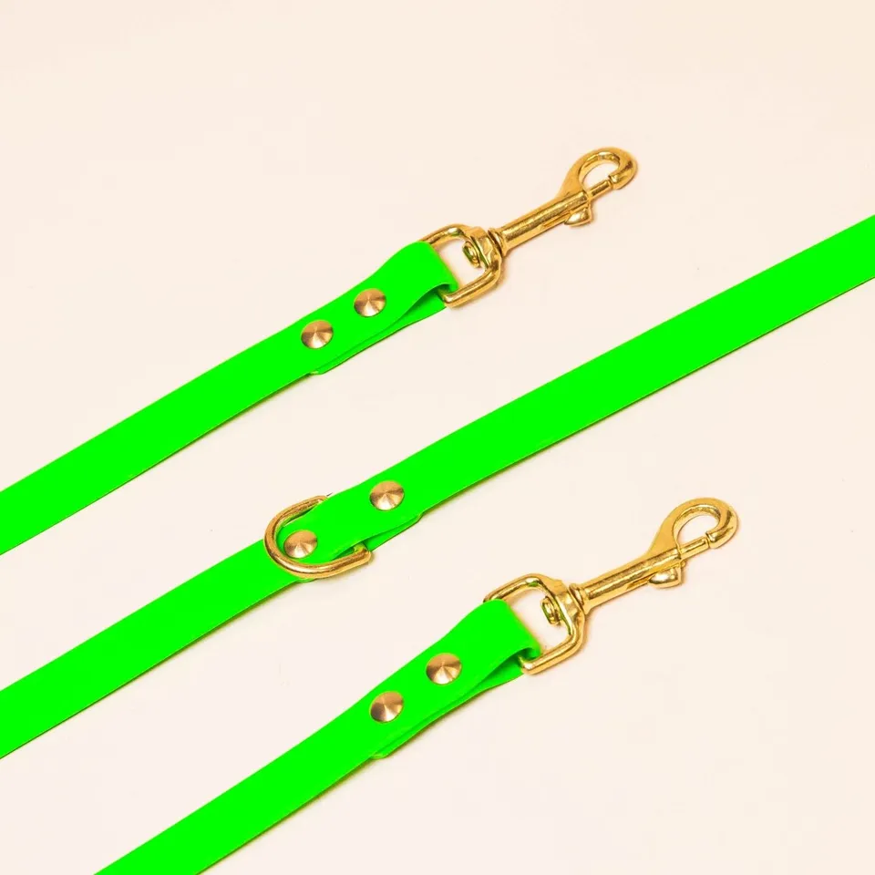 fid-le-paris-multi-positions-laisse-chien-vert-fluo image 1