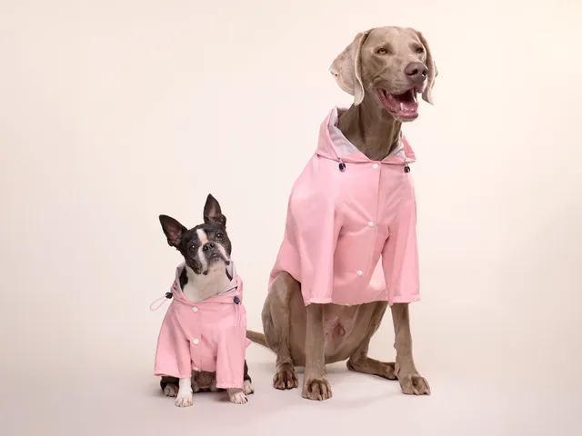 bandit-bubblegum-imperm-able-chien-rose-capuche-harnais image 1