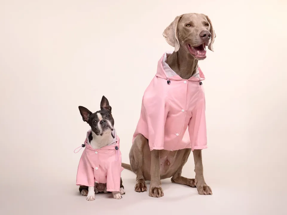 bandit-bubblegum-imperm-able-chien-rose-capuche-harnais image 1