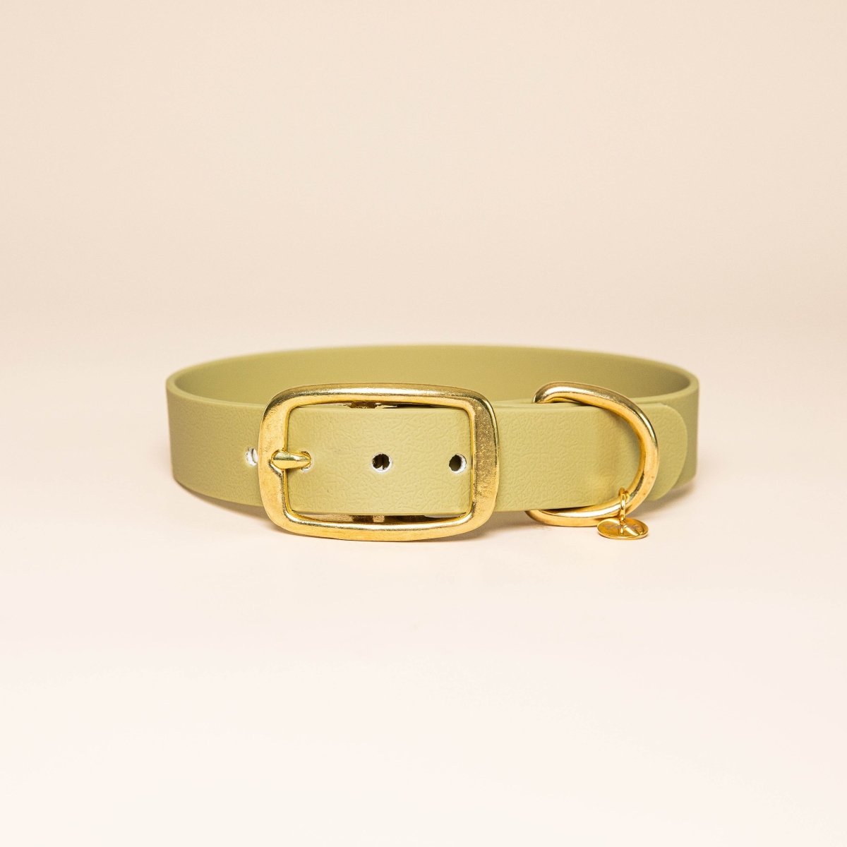 fid-le-paris-colliers-collier-chien-vert-tilleul-boucle-laiton image 1