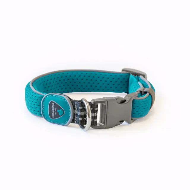 coralpina-cinquetorri-carezza-collier-chien-r-glable-confort image 1
