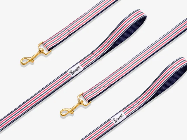 bandit-french-banban-laisse-chien-4-positions-200-cm-bleu-blanc-rouge image 1