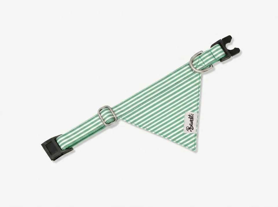 bandit-bandanas-pour-chat-ray-vert-bandana-chat-coton image 1