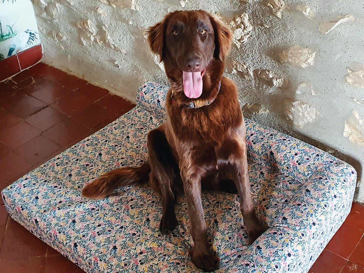bandit-panier-liberty-panier-chien-velours-fleuri-france image 3