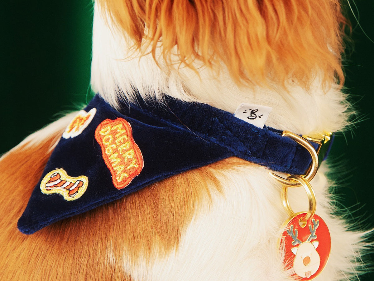bandit-bandanas-velours-bleu-bandana-chien-no-l image 4