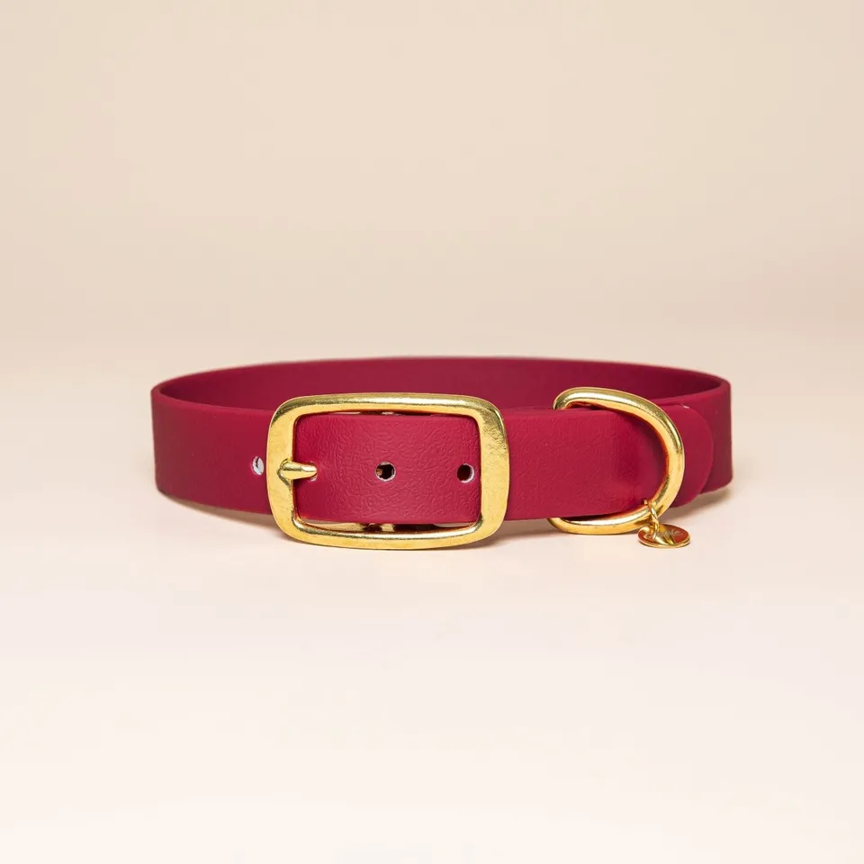 fid-le-paris-l-aventurier-collier-chien-bordeaux image 1