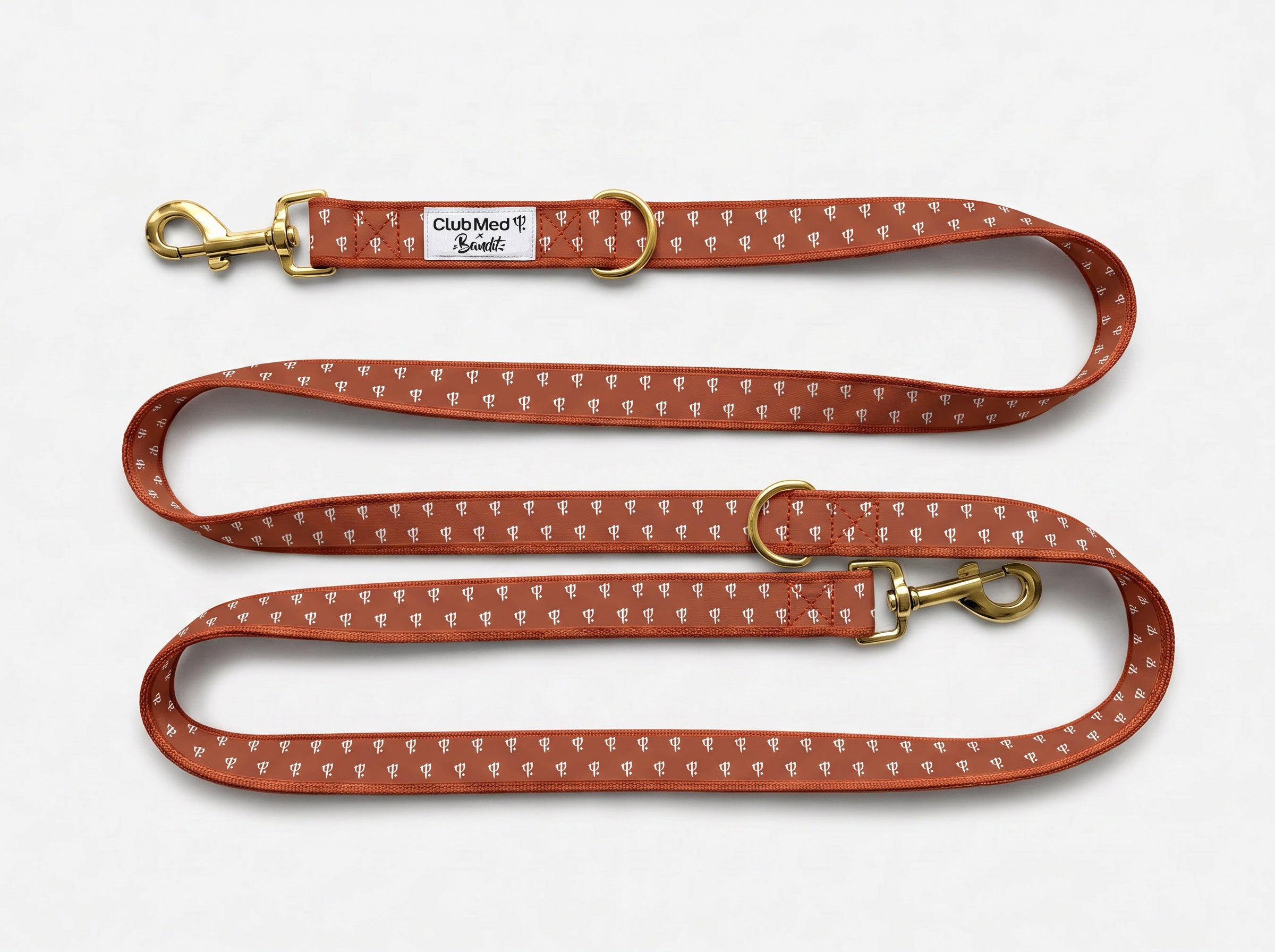 bandit-club-med-laisse-chien-bleu-lavande-120-cm-2-5-cm image 4