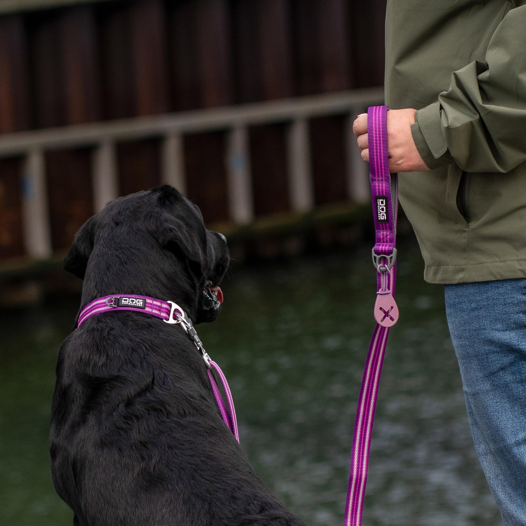 dog-copenhagen-urban-style-3-0-collier-chien-rose-m-r-glable image 8