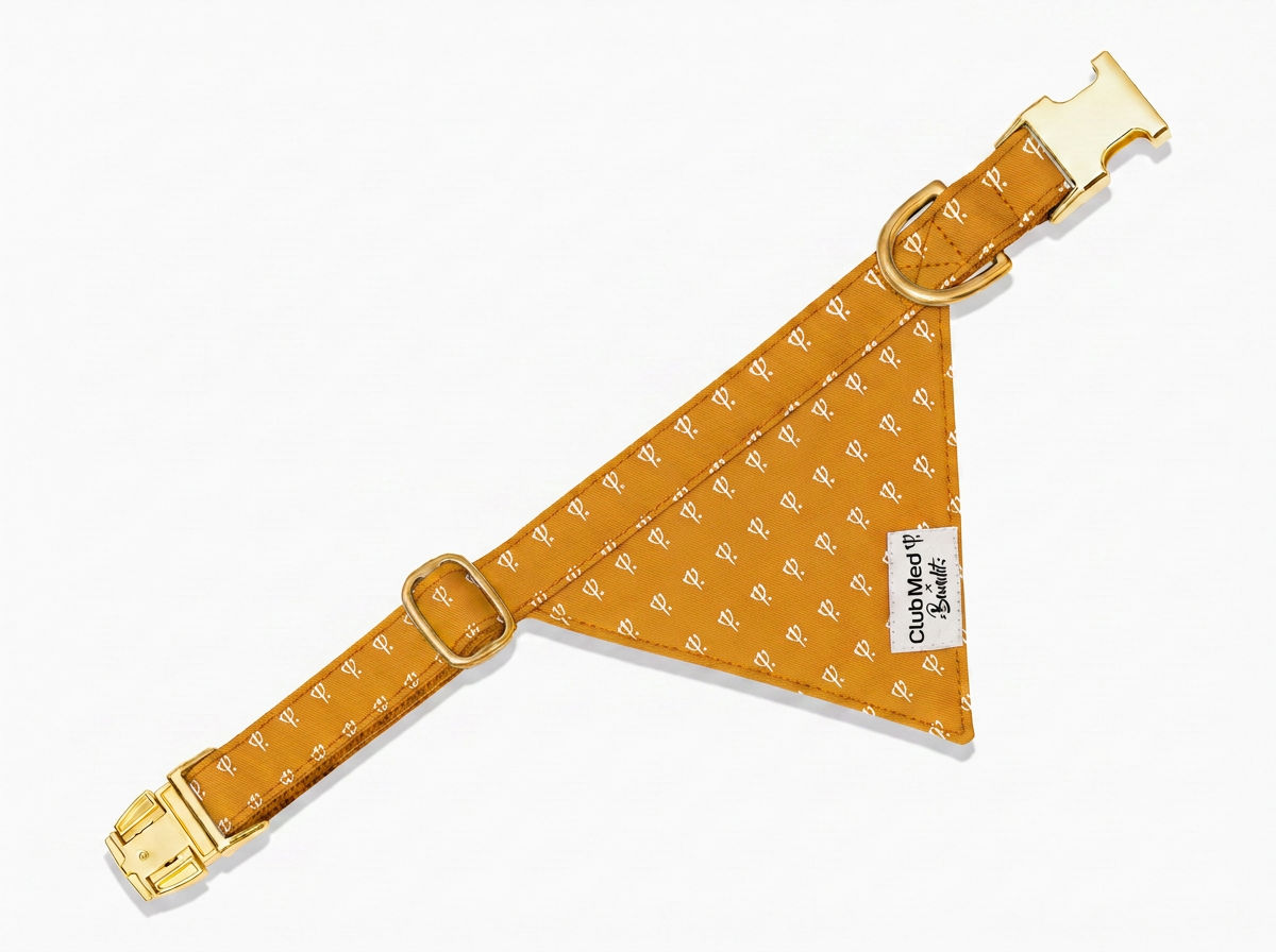 bandit-bandana-chien-club-med-lavande-collier image 3