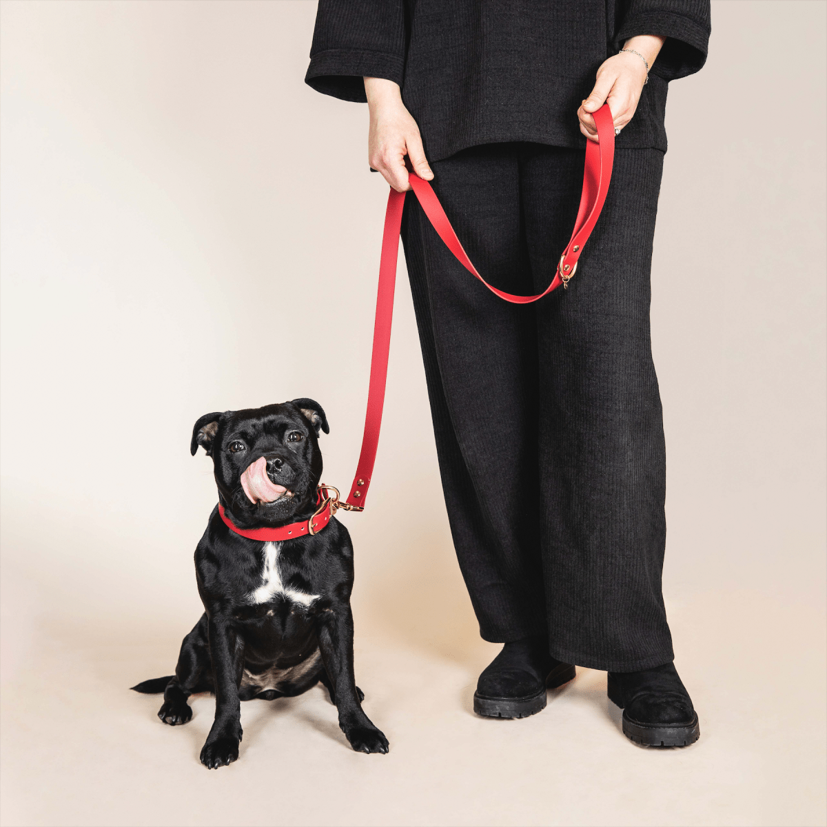 fid-le-paris-l-aventurier-laisse-chien-bordeaux-imperm-able image 2