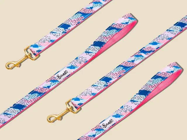 bandit-hippie-cool-laisse-chien-rose-bleu-120-cm image 1