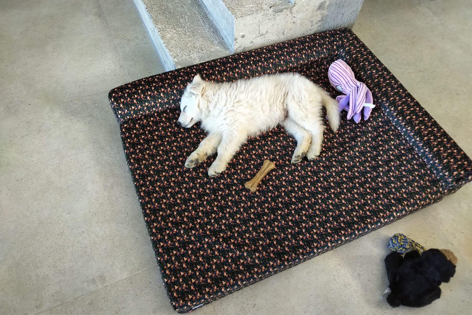 Sieste calme