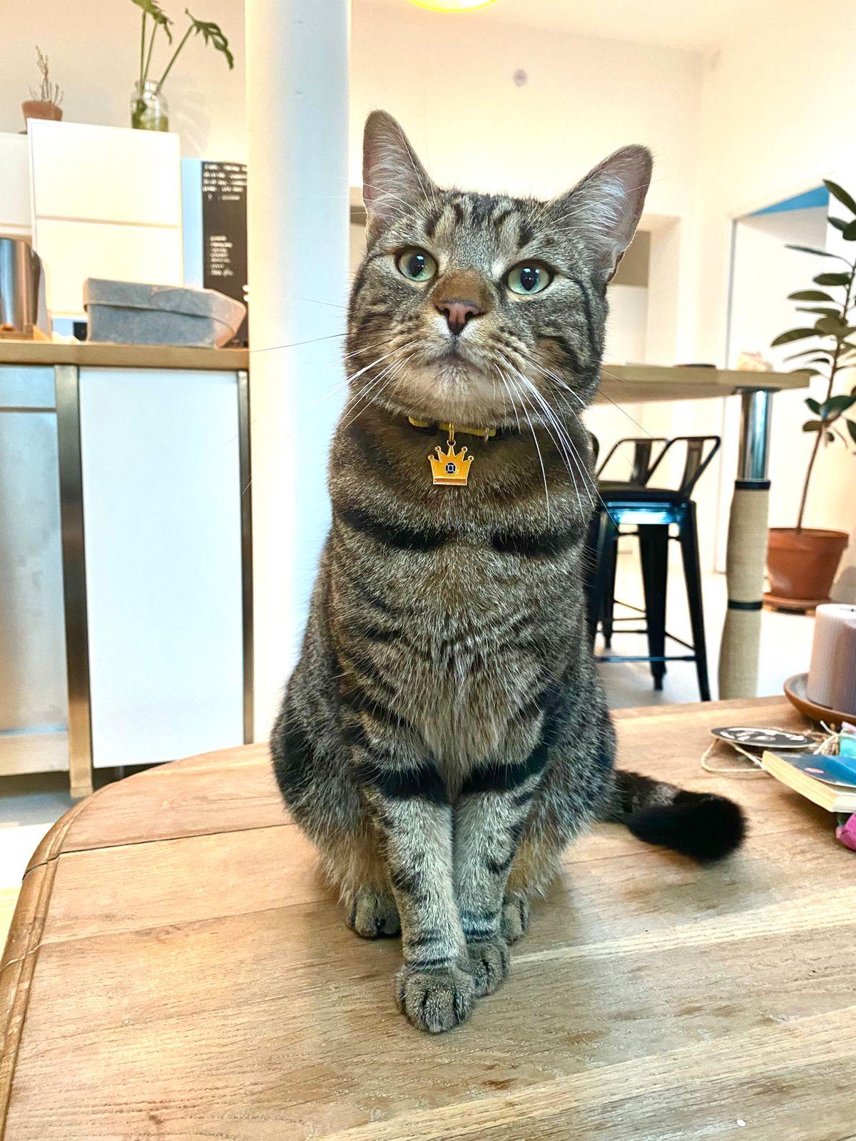 Légère