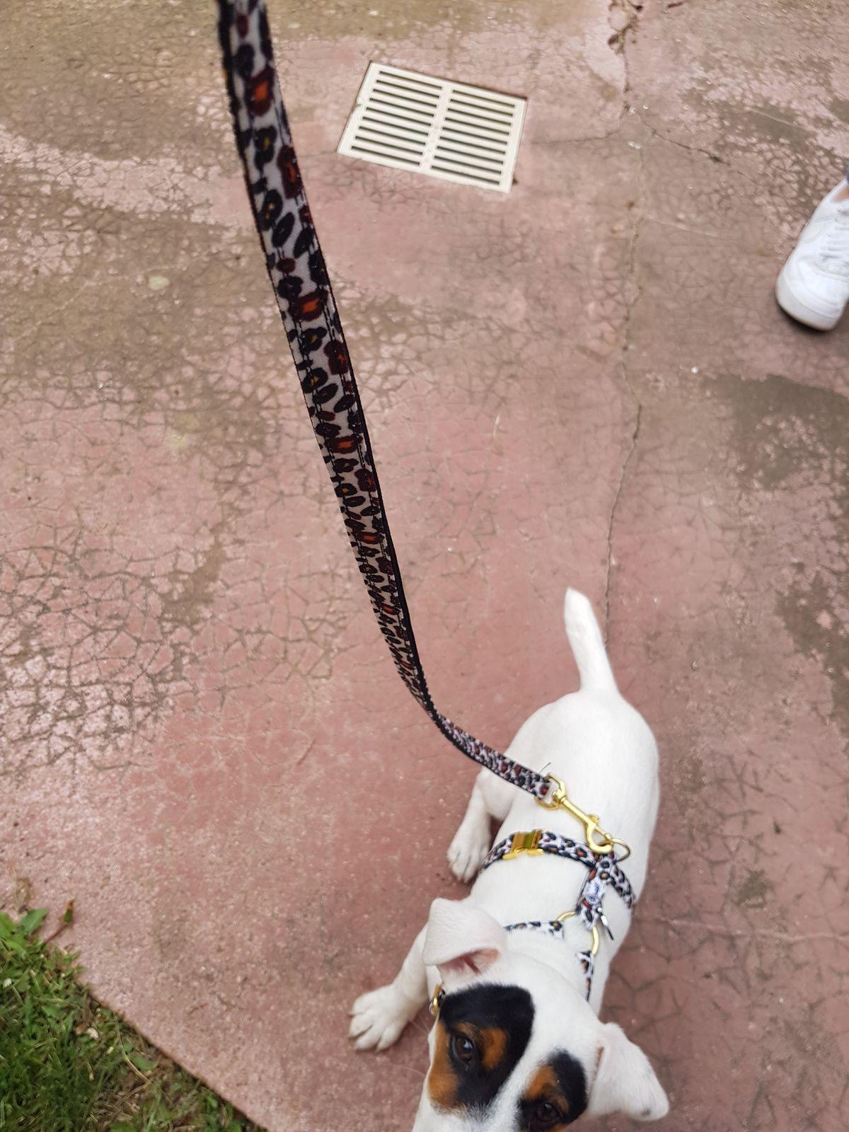 Taille à vérifier