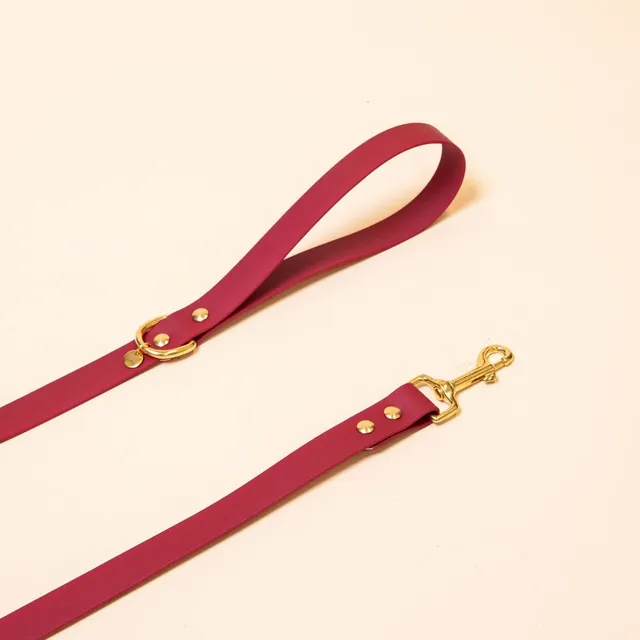 fid-le-paris-l-aventurier-laisse-chien-bordeaux-imperm-able image 1